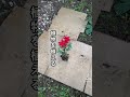 ダンボールそのまま防草シート!めちゃくちゃ簡単 www#家庭菜園 #ガーデニング #garden