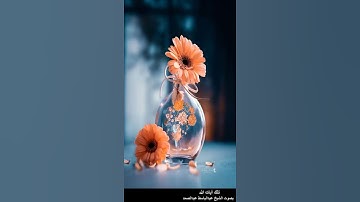 ولا تلبسوا الحق بالباطل وتكتموا الحق وأنتم تعلمون - سورة البقرة آية 42 بصوت عبدالباسط عبدالصمد