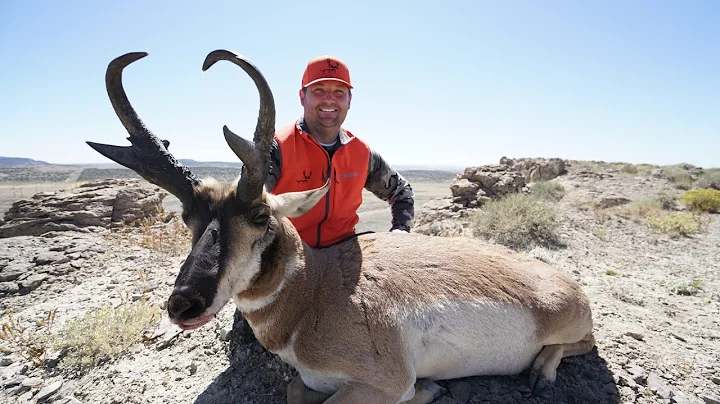 GIANT UTAH ANTELOPE: Tyndall Hunts