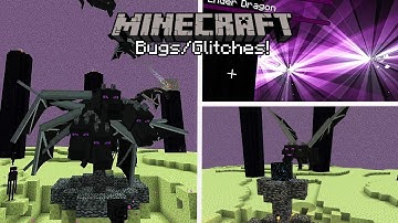 Minecraft Bugs&Glitches! (Ender Dragon Duplication/Farm Glitch, X-Ray Glitch & More)