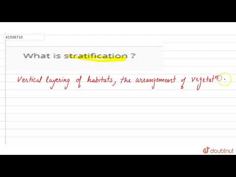 Video: Ką reiškia stratifikacija?