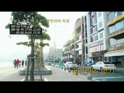 부산포 지도 2부 '광안리의 속살' 편 예고