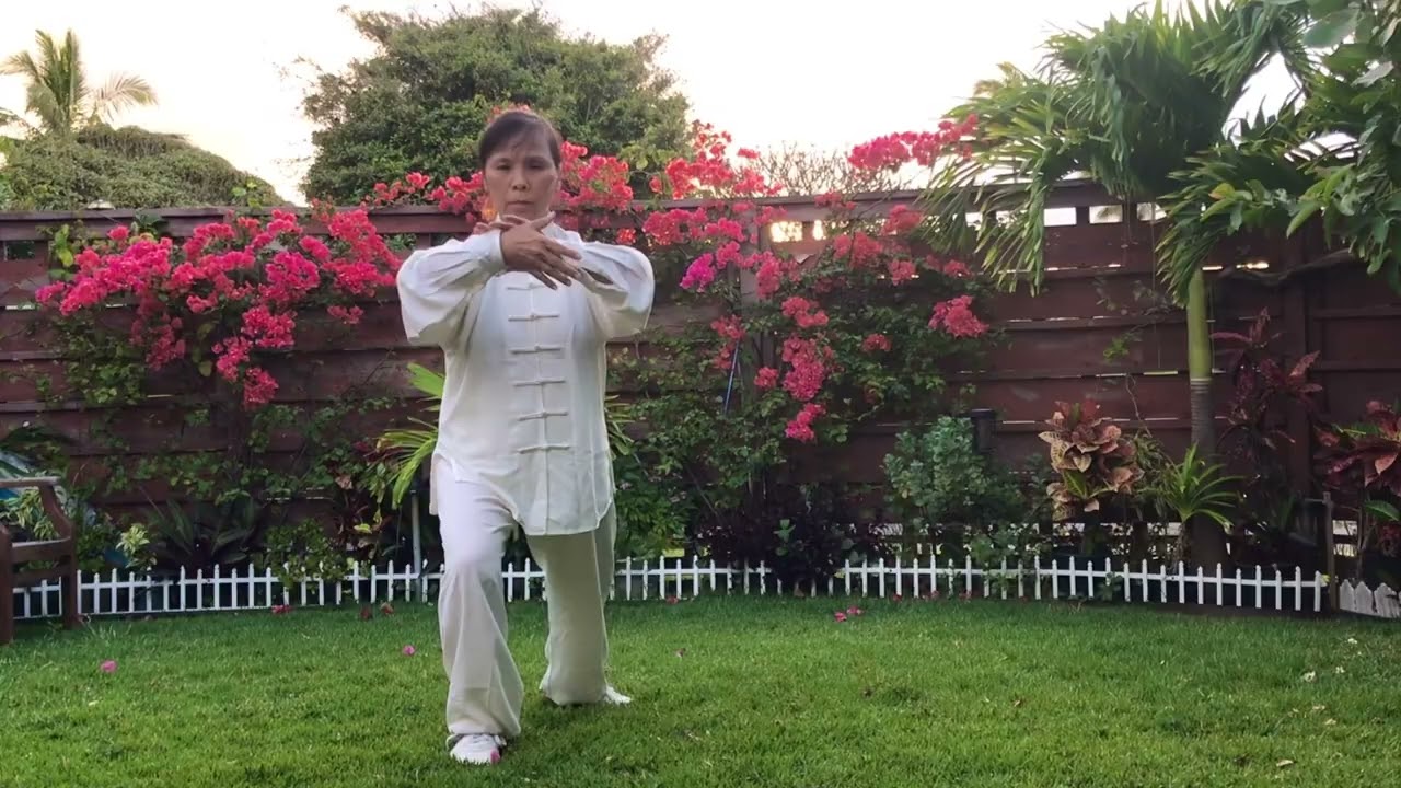 Yang Style Taichi Quan Steps 1-14