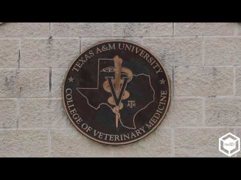 Texas A&M Veterinary School and Gigabot