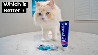 PetSmile vs Virbac: Which Cat Toothpaste Is Better? | The Cat Butler