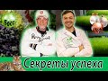 Сити ферма  Зеленого Шефа. Пшеница. Витграсс.