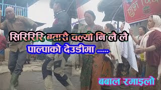 Siriri Batasai Chalyo Lai Lai | Nepali Movie Bandhaki song। dancing villagers at my house
