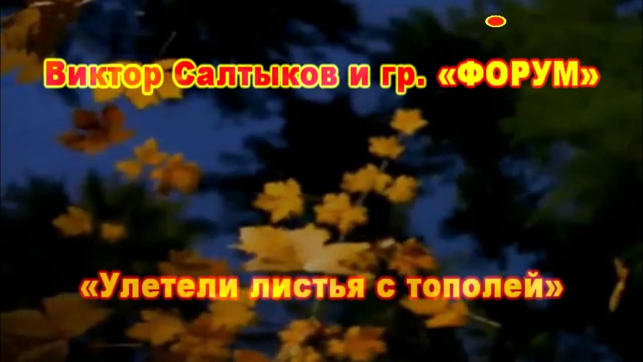 Улетели листья с тополей салтыков слова. Салтыков улетели листья. Улетели листья с тополей салтыков слова. Кто поет песню улетели листья с тополей. Песня салтыкова улетели листья.