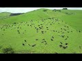 Soothing Music For Inner Peace And Tranquility Relax Breathe And Enjoy The Moment Soothing Music For Inner Peace And Tranquility Relax Breathe And Enjoy The Moment