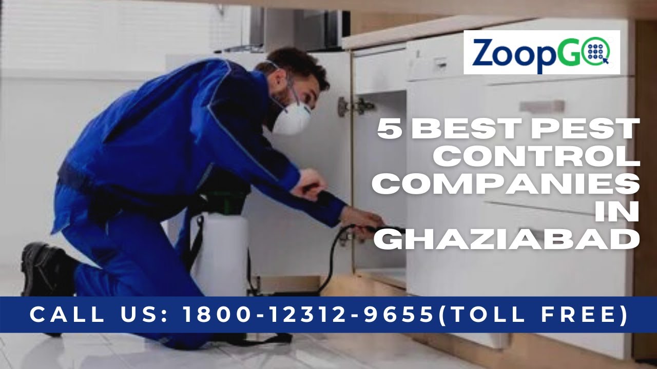 5 Best Pest Control Companies in Ghaziabad YouTube