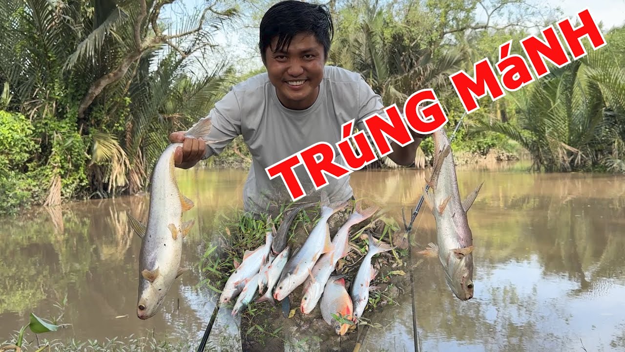 CÂU CÁ SÔNG NHỎ ĐỤNG BẦY CÁ TRA ĂN CÂU KHỦNG KHIẾP