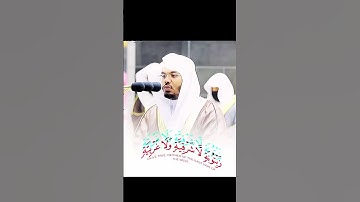 ياسر الدوسري {الله نور السماوات والارض} سورة النور | تلاوات