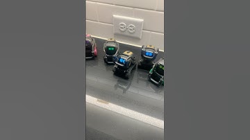 I Activated 5 Vector Robots at Once! 😳 #robot #robots #ankivector #vectorrobot #robotics #ai #tech