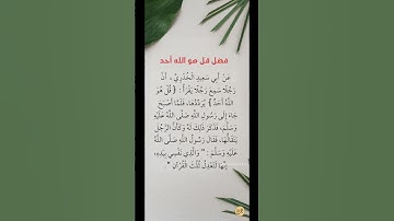 فضل سورة الاخلاص #اكسبلور #المصحف #القزابري #الرحمن