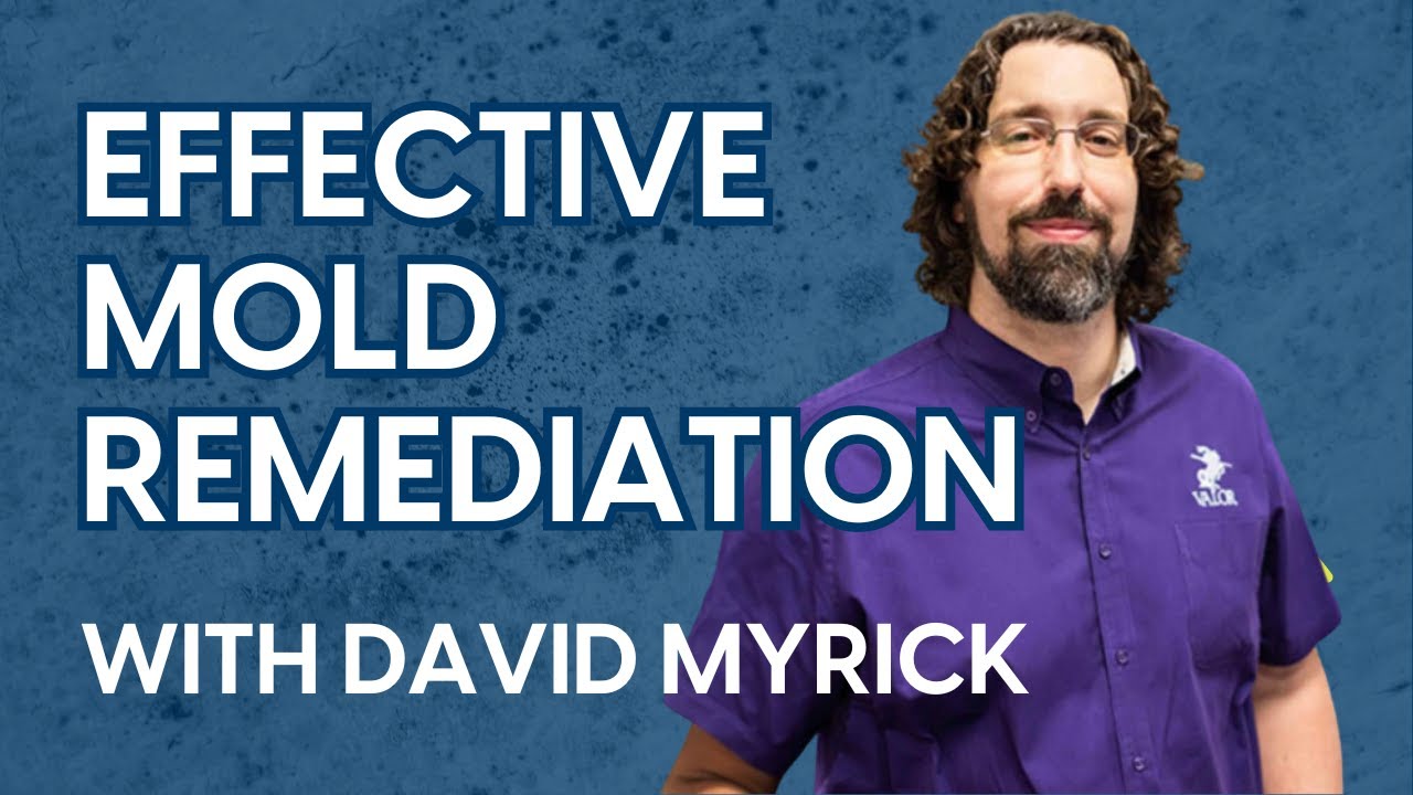 Эффективное устранение плесени: ключевые методы и тревожные сигналы, на которые следует обратить ...