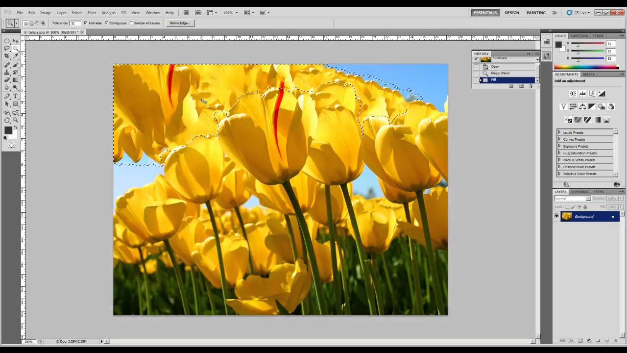 Урок 4. Adobe Flash Professional