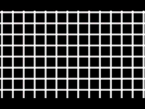 the grid - YouTube