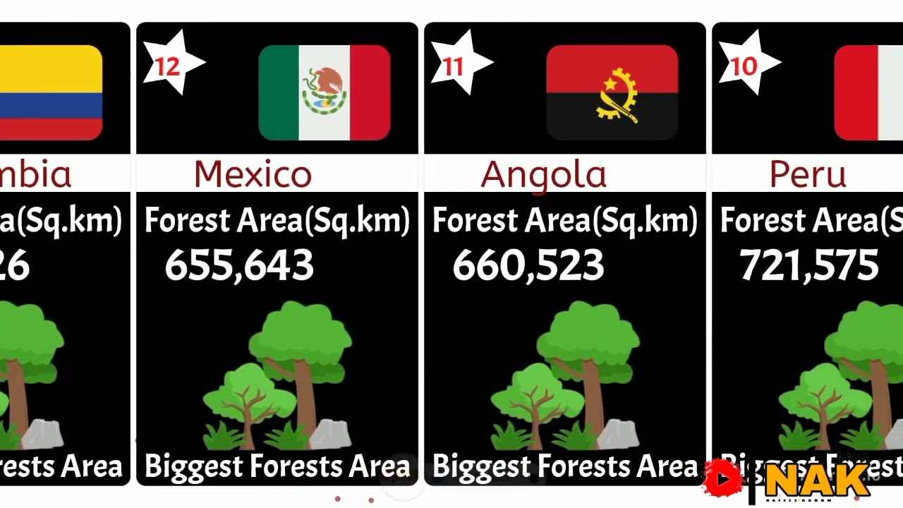 Top 20 Countries with the Biggest Forests Area| NAK DATA
