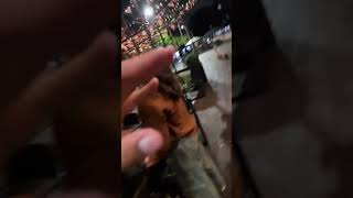 Brushtail Possum Bites Man On Finger While He Tries To Pet It