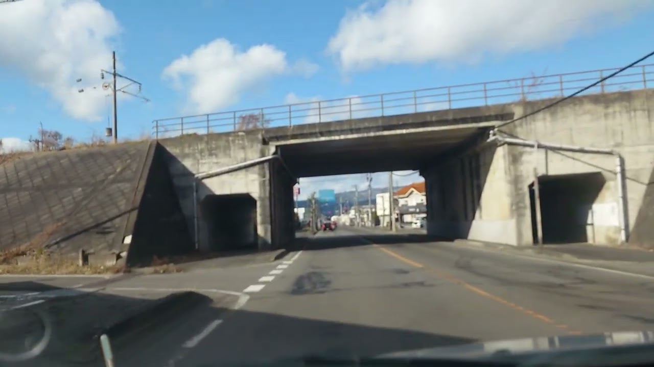 今日はこんな日