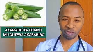 MENYA IBITANGAZA GOMBO IKORA MU GUTERA AKABARIRO NO KUBONA URUBYARO