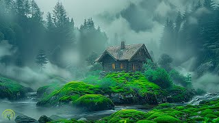 All your worries will disappear if you listen to this music🌿 Relaxing music calms your nerves #14