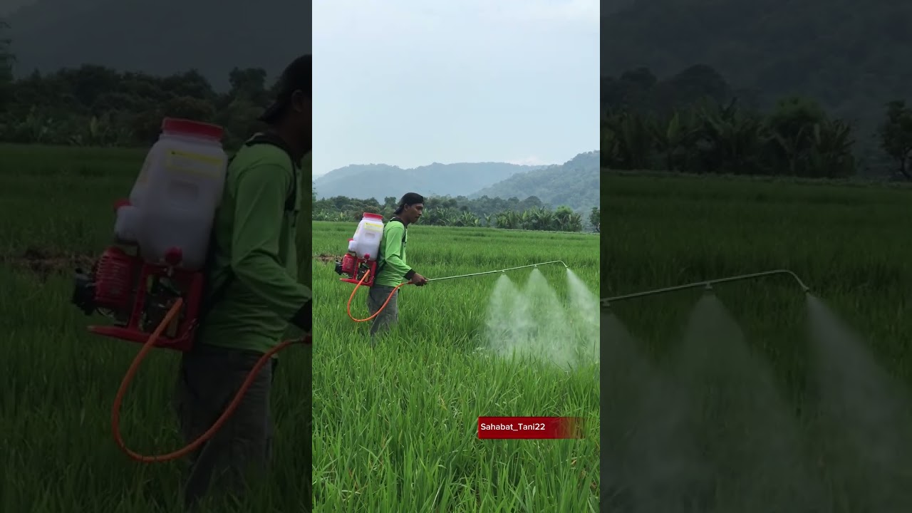 Stik 3 Mata kabut untuk Semprot Hama 