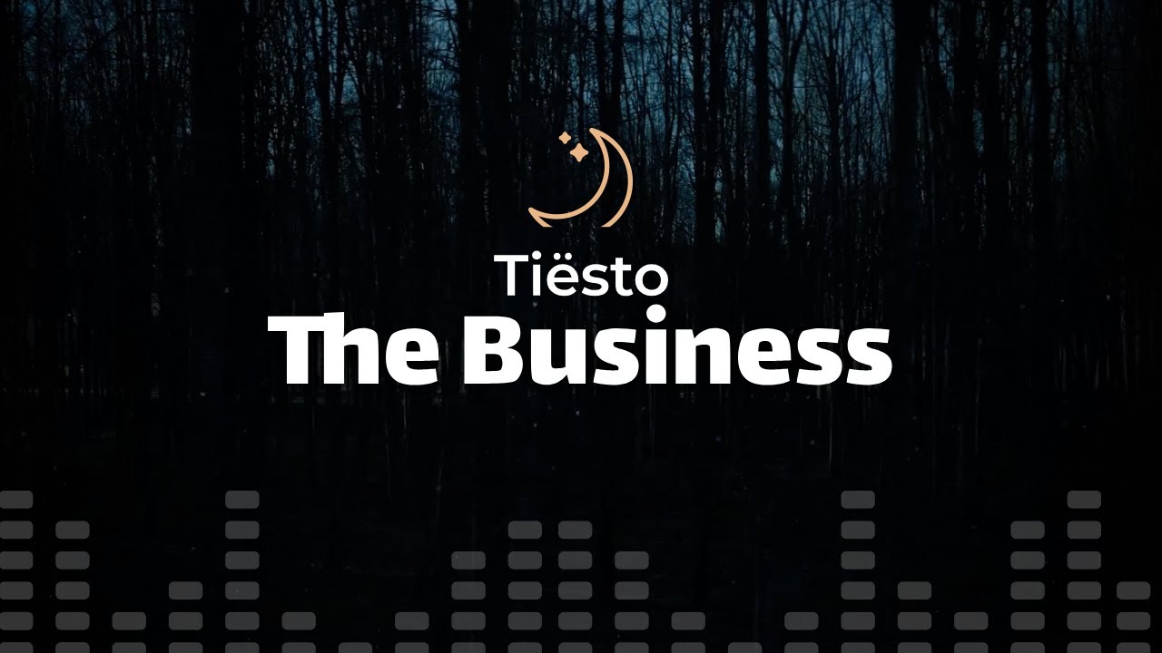 Tiësto - The Business (lyrics)