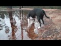 Trick to sticking her nose in water