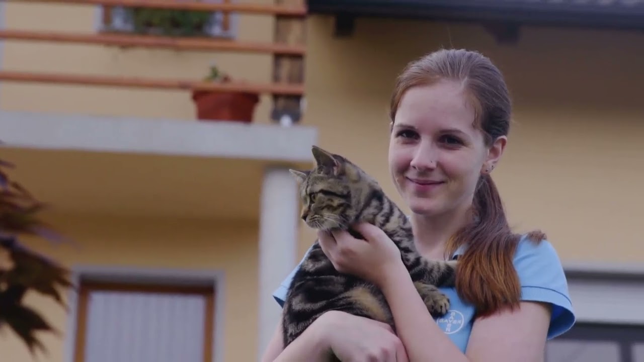 Cat Tricks 101: Train Your Feline Like a Pro!