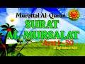Surat Al Mursalat Ayat 1 50 Diulang 5 Kali