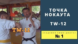 Точка неврологического  нокаута TW 12.  Практика Кюшо джитсу