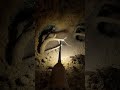 Hoopoe POV: Micro-Camera Exploration of Underground Soil Ecosystem