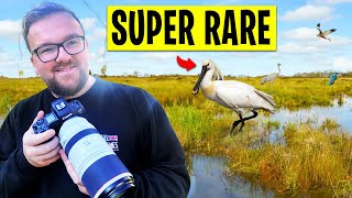 I Explored The UK's Wettest Habitat & found this...