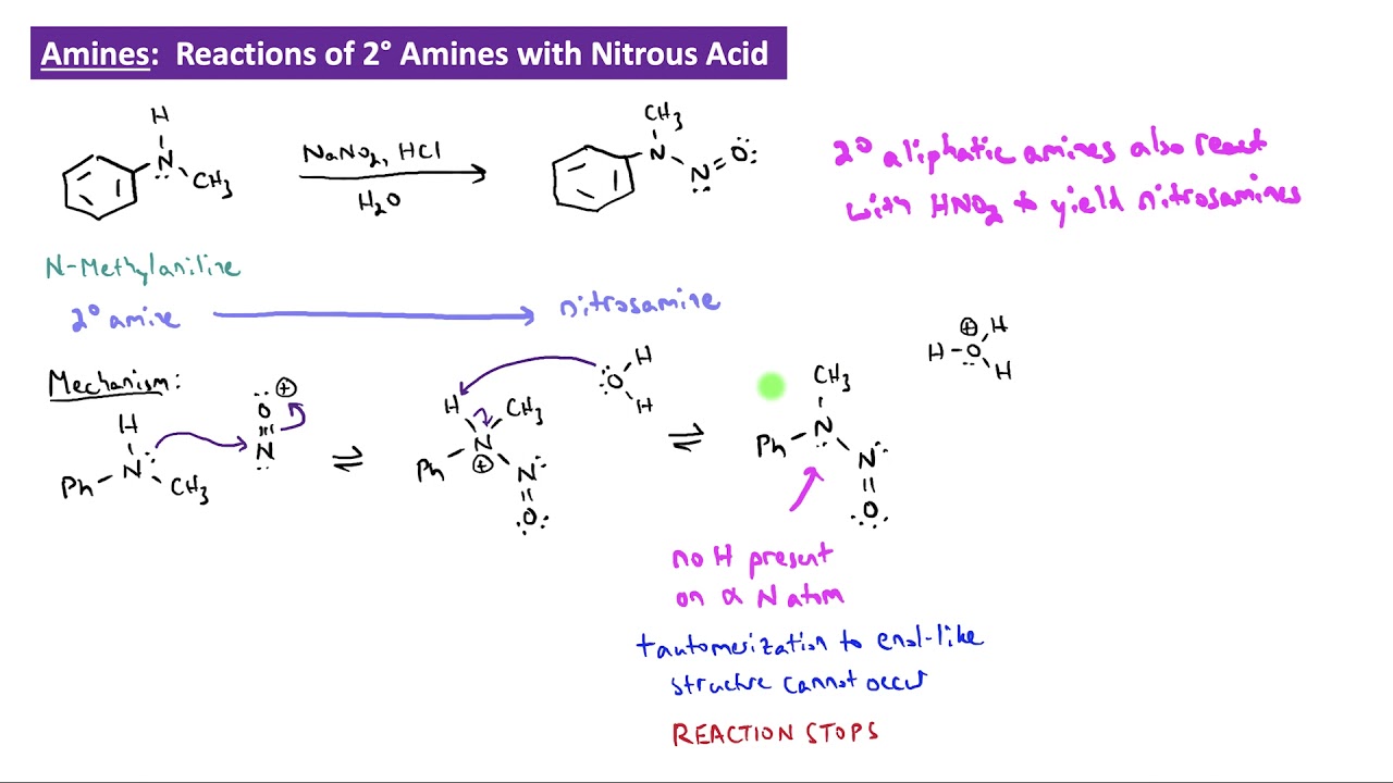 CHEM 2325 Module 35:  Reactions of 2° and 3° Amines with Nitrous Acid