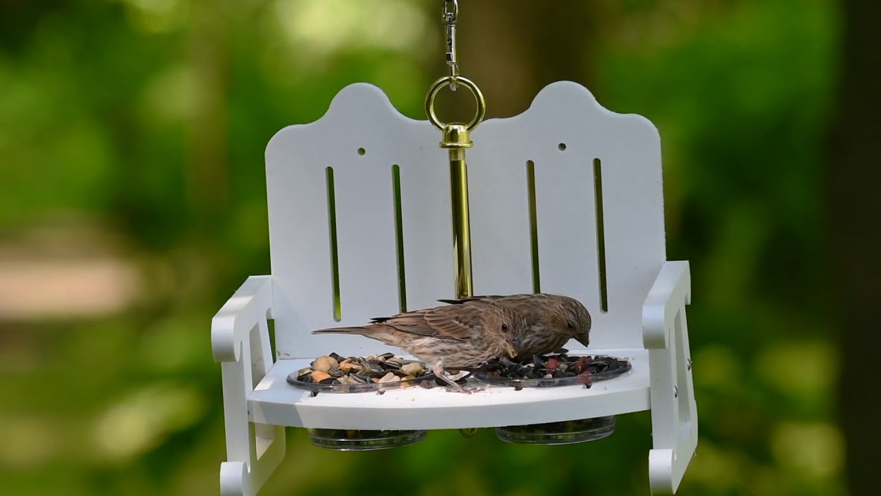 4778 Duncraft Garden Bench Bird Feeder Youtube
