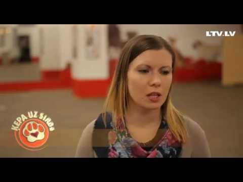Video: Kā Apmācīt Kucēnu Doties Uz Tualeti Uz Ielas