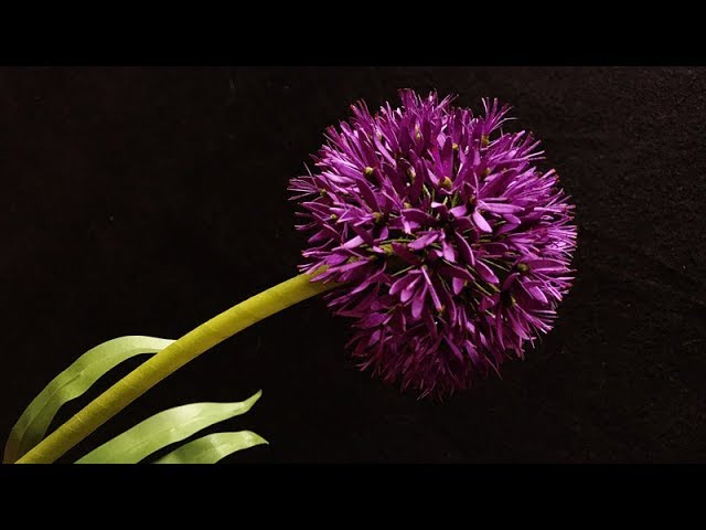 diy #paperflowers #allium #paperflower #crafts #craftingeek #crafting, Paper Flowers DIY