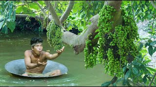 Flooded forest rich in fruits CASHEWS lSANTOL