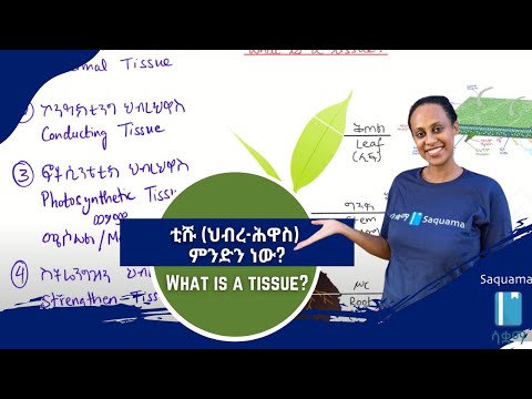 ቪዲዮ: መልቲሴሉላር ማለት ምን ማለት ነው?