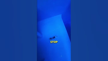 Crazy Deep Diving Pool 😨