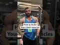 How to build Your chest muscles @Jayram2.o #bodybuilding #workout