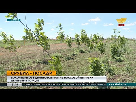 Актюбинцы обеспокоены состоянием