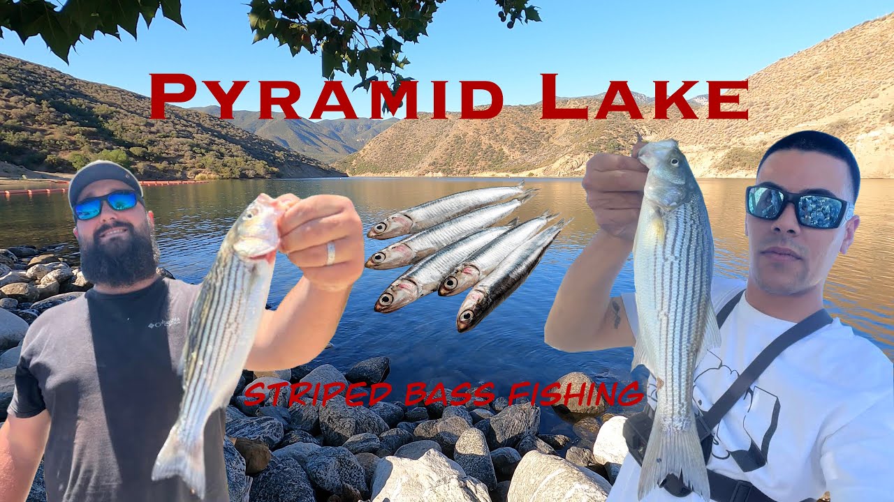 Pyramid Lake, CA Striped Bass Fishing with the homie AJ Bass