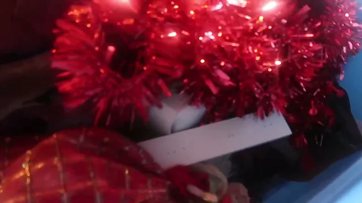 Vlogmas day 6