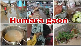 Humara gaon / Village vlog