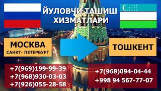 Yangi Telegram Prikollar Uzbek Prikol