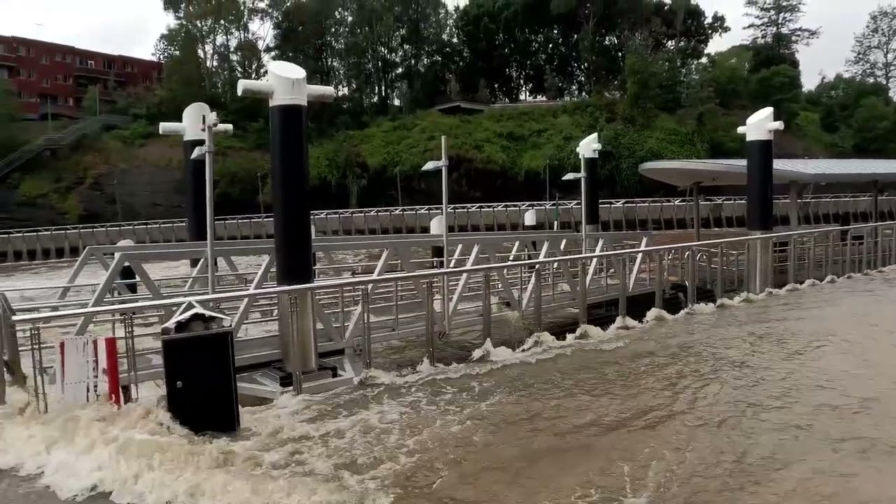 Parramatta River Walk  Sydney, AUSTRALIA