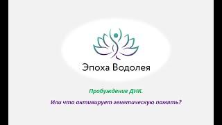 Пробуждение ДНК. Или что активирует генетическую память?