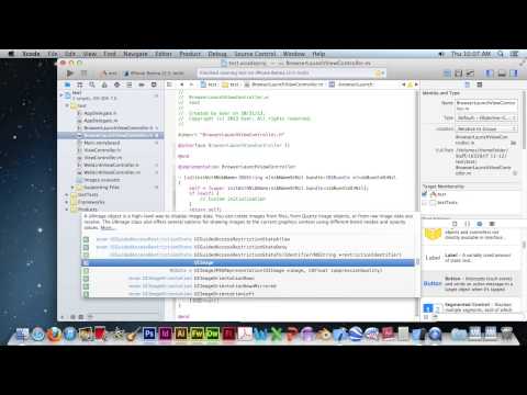 Xcode Browser Launch Lesson